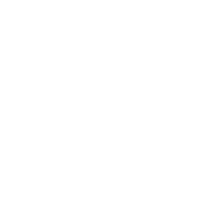 LOGO BLANCO